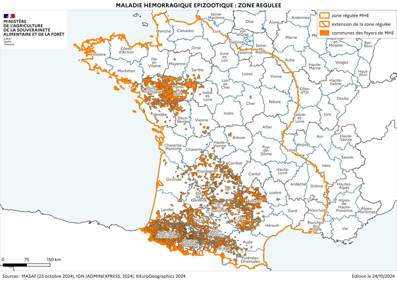 Localisation des foyers de maladie hémorragique (MHE) détectés en France.