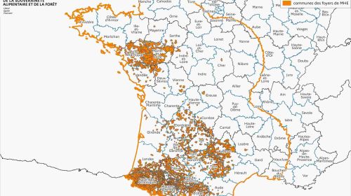 Localisation des foyers de maladie hémorragique (MHE) détectés en France.