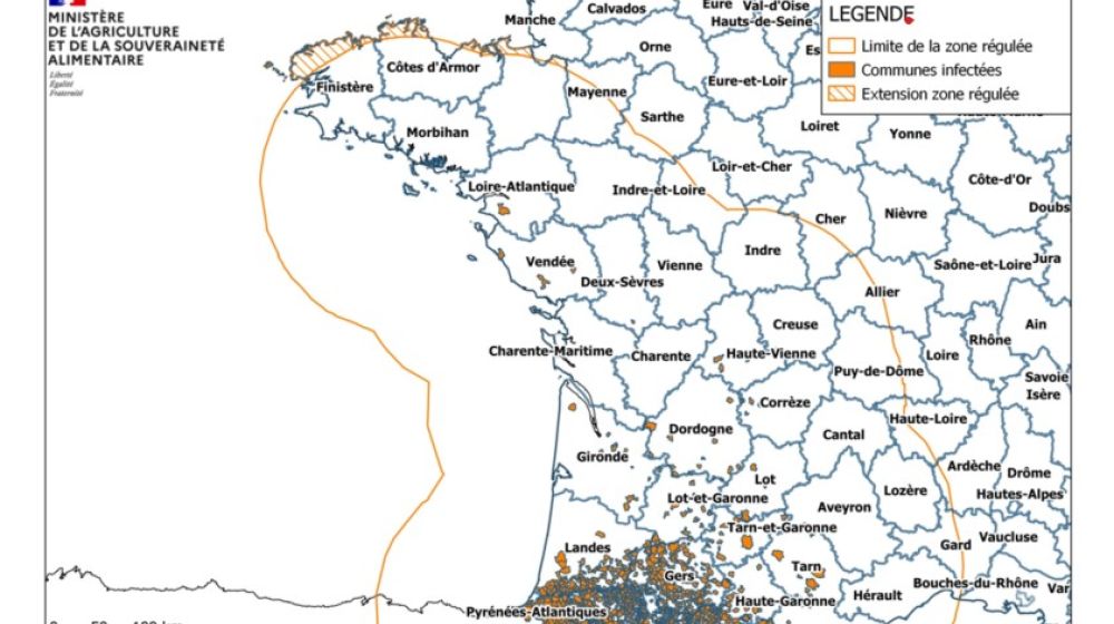 Localisation des foyers de maladie hémorragique (MHE) détectés en France.