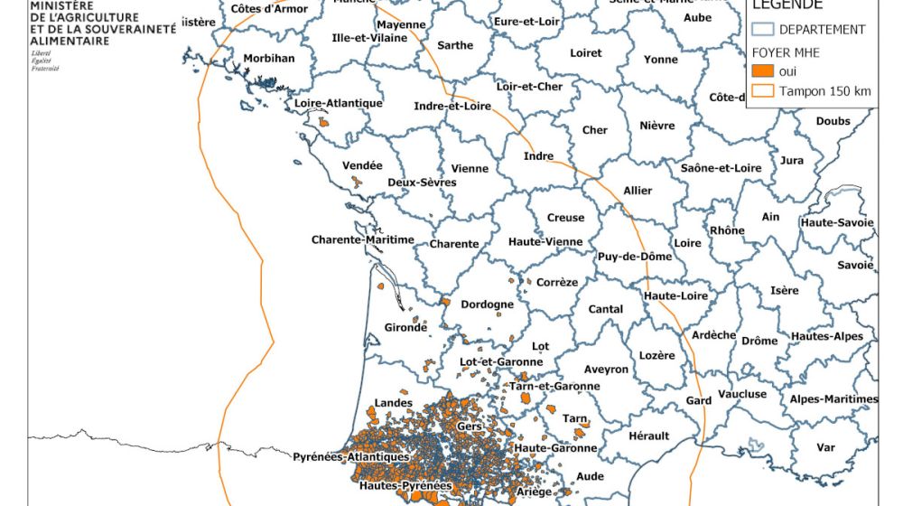 Localisation des foyers de maladie hémorragique (MHE) détectés en France.