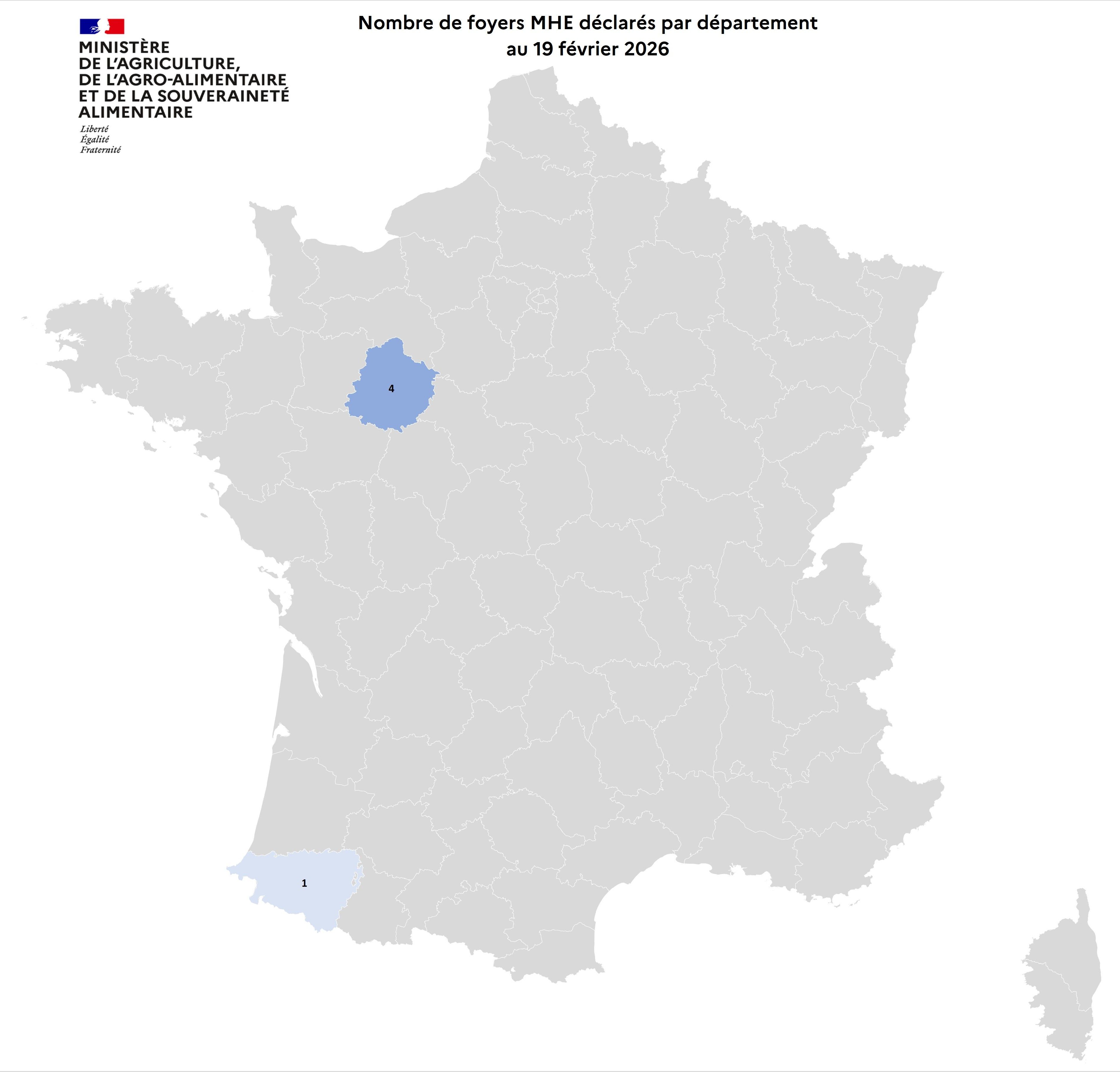 Localisation des foyers de maladie hémorragique (MHE) détectés en France.