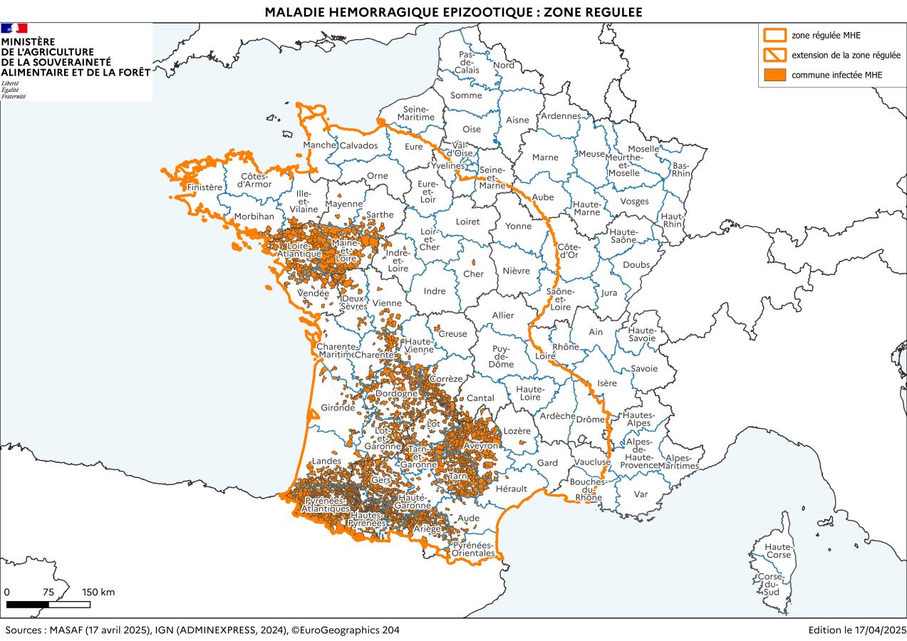 Localisation des foyers de maladie hémorragique (MHE) détectés en France.