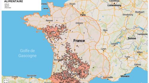 Localisation des foyers de maladie hémorragique (MHE) détectés en France.