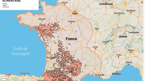Localisation des foyers de maladie hémorragique (MHE) détectés en France.