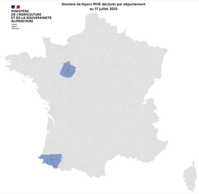 Localisation des foyers de maladie hémorragique (MHE) détectés en France.