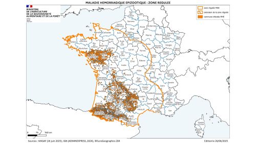 Localisation des foyers de maladie hémorragique (MHE) détectés en France.