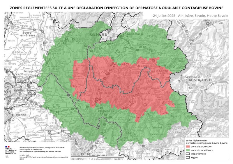 DNC - Graphique du nombre de foyers détectés et d'élevages touchés par semaine