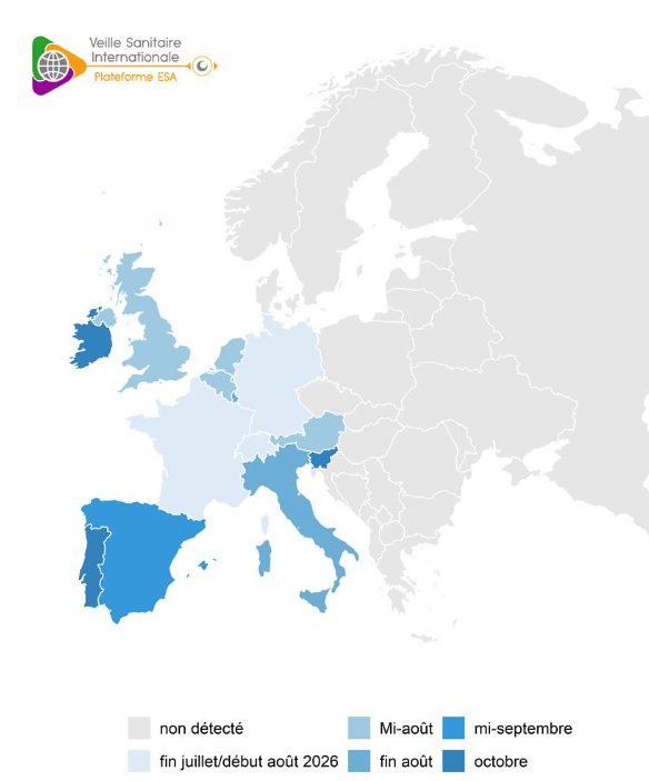 Pays pour lesquels au moins un foyer de Shamonda-Europe a été détecté selon la période connue de détection au 18/10/2026 (BHVSI)