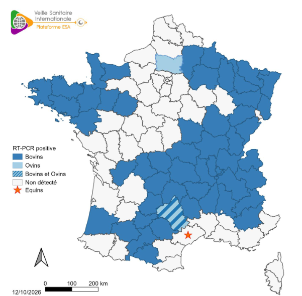 Détection de Shamonda-Europe par RT-PCR chez les bovins, ovins et équins (sources: Adilva, ENVT et GDS France le 12/10/2026)