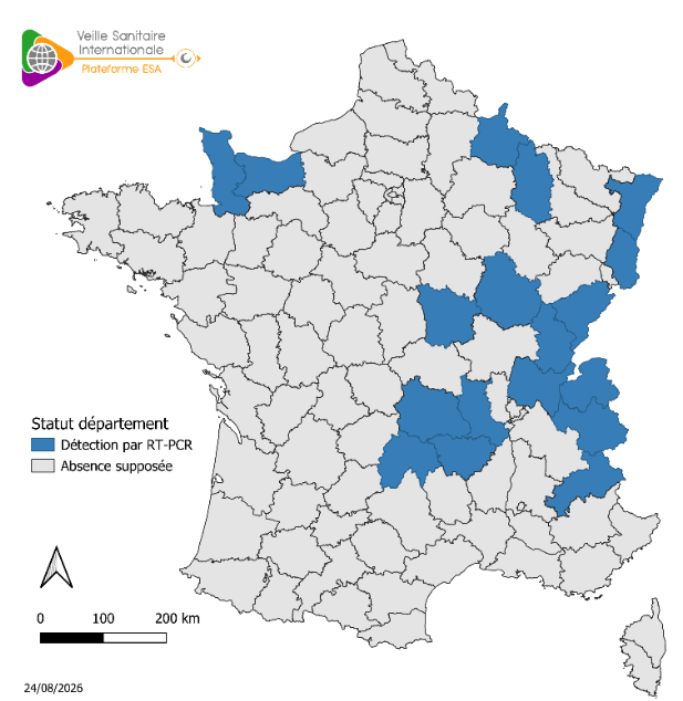 Détection de Shamonda-Europe par RT-PCR (sources: Adilva, ENVT et GDS le 24/08/2026)