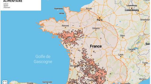Localisation des foyers de maladie hémorragique (MHE) détectés en France.
