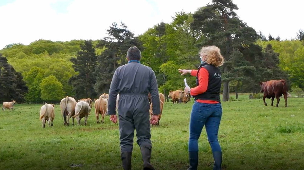 GDS Cantal, Groupement de défense sanitaire
