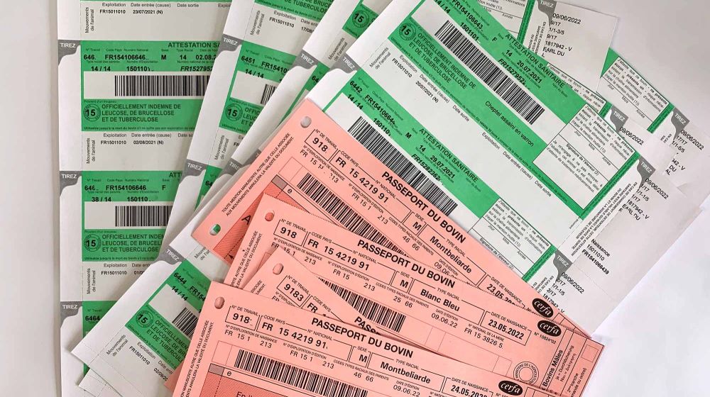 GDS Cantal, Groupement de défense sanitaire