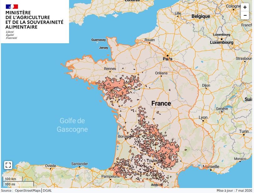 Localisation des foyers de maladie hémorragique (MHE) détectés en France.