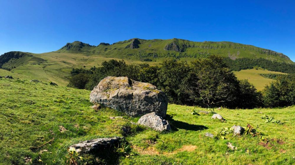 GDS Cantal, Groupement de défense sanitaire