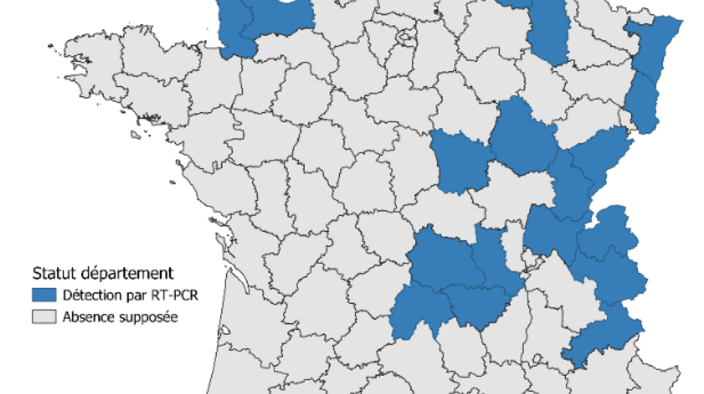 Nouveau virus Shamonda-Europe