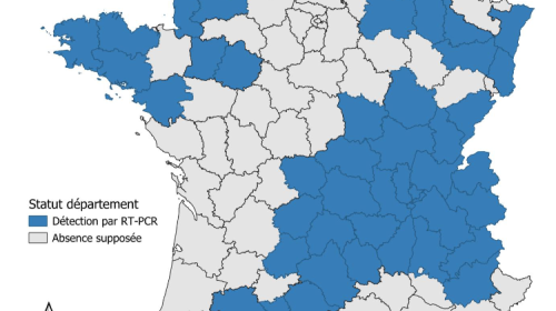 Détection de Shamonda-Europe par RT-PCR dans des élevages bovins (sources: Adilva, ENVT et GDS France le 15/09/2026)