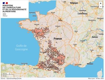 Localisation des foyers de maladie hémorragique (MHE) détectés en France.