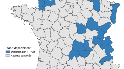 Détection de Shamonda-Europe par RT-PCR (sources: Adilva, ENVT et GDS le 24/08/2026)