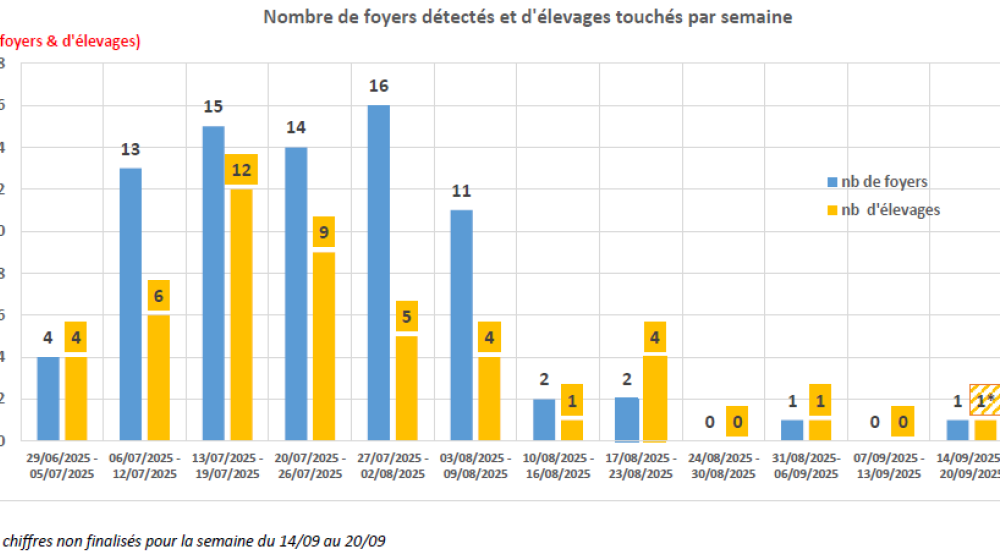 DNC - Graphique du nombre de foyers détectés et d'élevages touchés par semaine