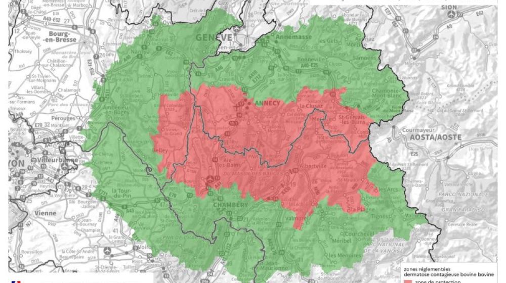 DNC - Graphique du nombre de foyers détectés et d'élevages touchés par semaine