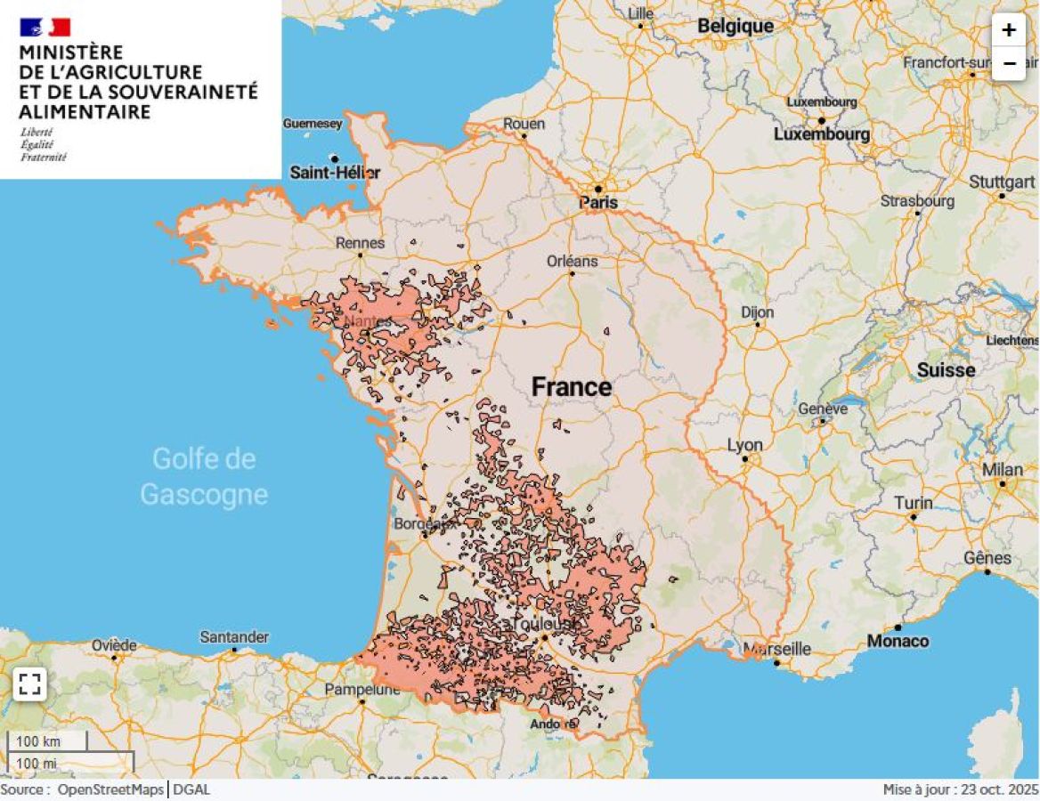 Localisation des foyers de maladie hémorragique (MHE) détectés en France.