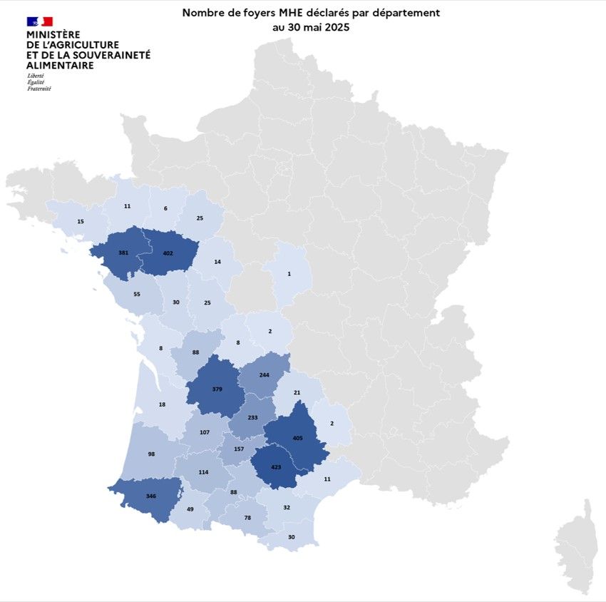 Localisation des foyers de maladie hémorragique (MHE) détectés en France.