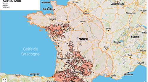 Localisation des foyers de maladie hémorragique (MHE) détectés en France.