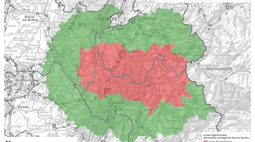 DNC - Graphique du nombre de foyers détectés et d'élevages touchés par semaine