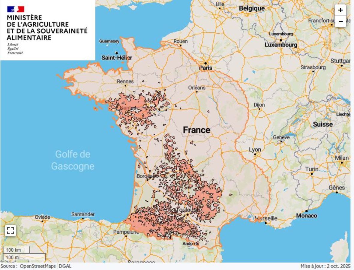 Localisation des foyers de maladie hémorragique (MHE) détectés en France.