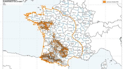 Localisation des foyers de maladie hémorragique (MHE) détectés en France.