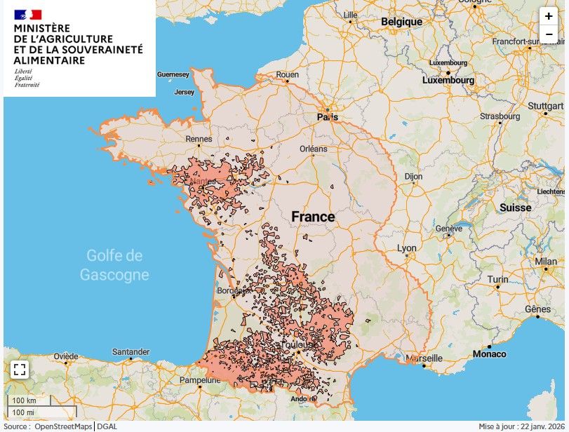 Localisation des foyers de maladie hémorragique (MHE) détectés en France.