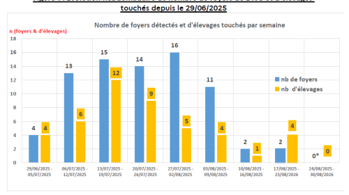 DNC - Graphique du nombre de foyers détectés et d'élevages touchés par semaine