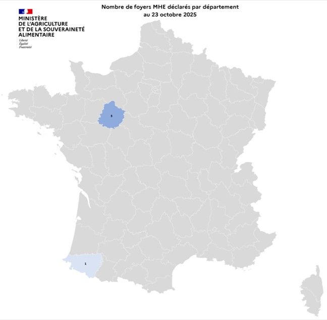 Localisation des foyers de maladie hémorragique (MHE) détectés en France.