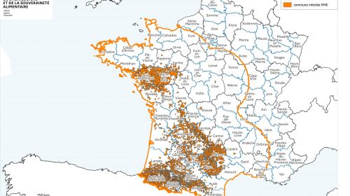 Localisation des foyers de maladie hémorragique (MHE) détectés en France.